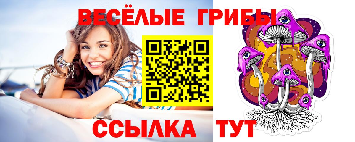 Городец  Псилоцибиновые грибы Psilocybine cubensis  Вход с VPN  Галлюциногенные грибы Magic Shrooms 