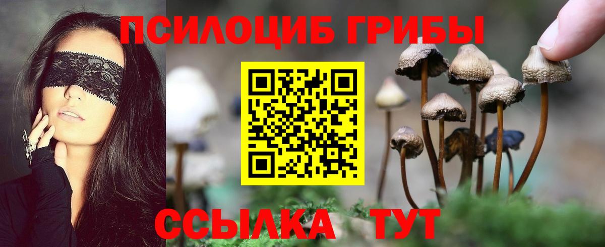 Псилоцибиновые грибы GOLDEN TEACHER Городец